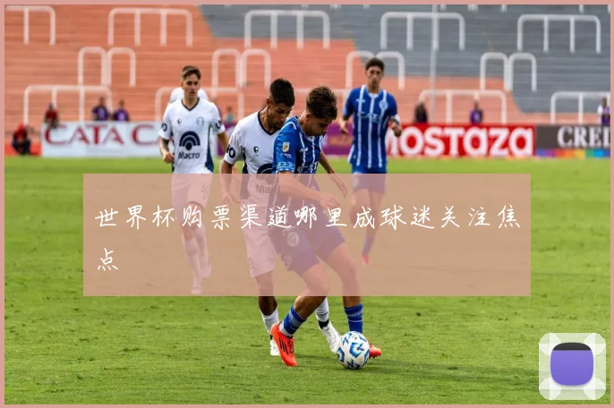 世界杯购票渠道哪里成球迷关注焦点