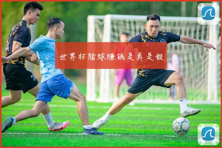 世界杯赌球赚钱是真是假