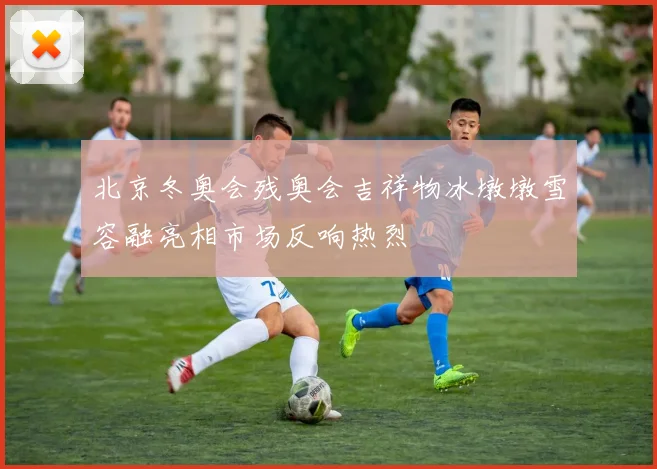 北京冬奥会残奥会吉祥物冰墩墩雪容融亮相市场反响热烈