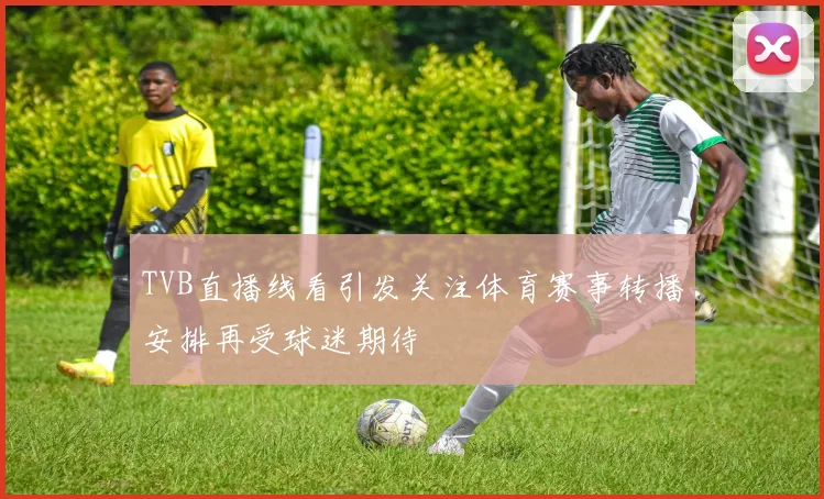 TVB直播线看引发关注体育赛事转播安排再受球迷期待